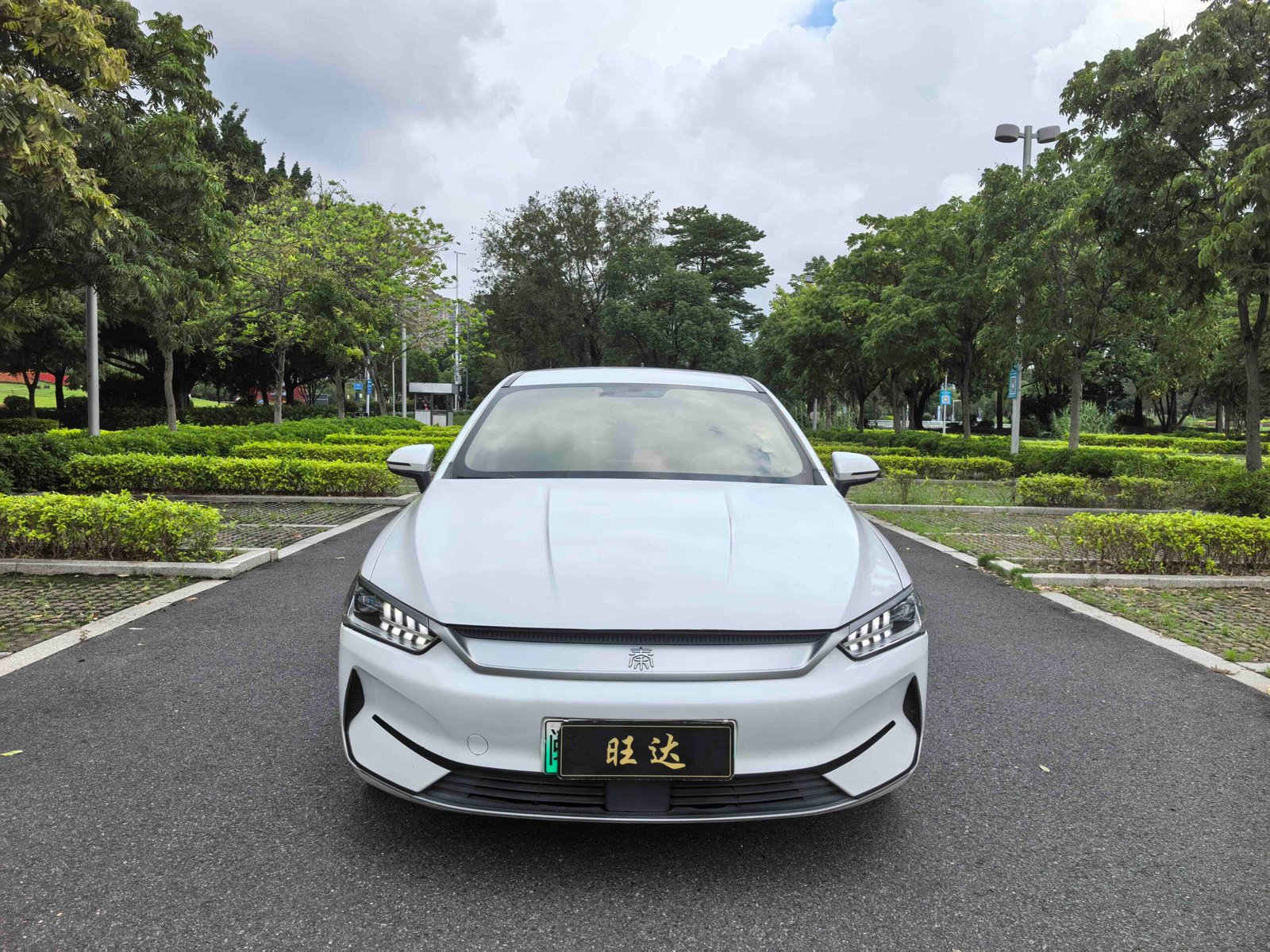 -BYD Qin PLUS 2021 Model EV 400KM Leading Edition