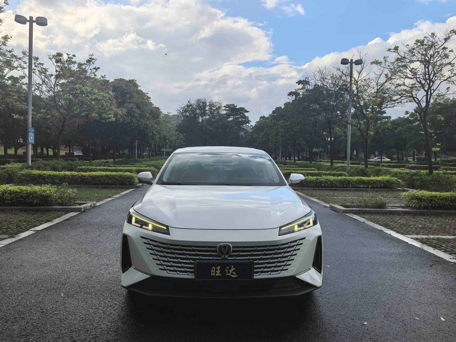 -Dongfeng Fengshen Yixuan 2023 Model 1.5T Super Capable Dad Edition