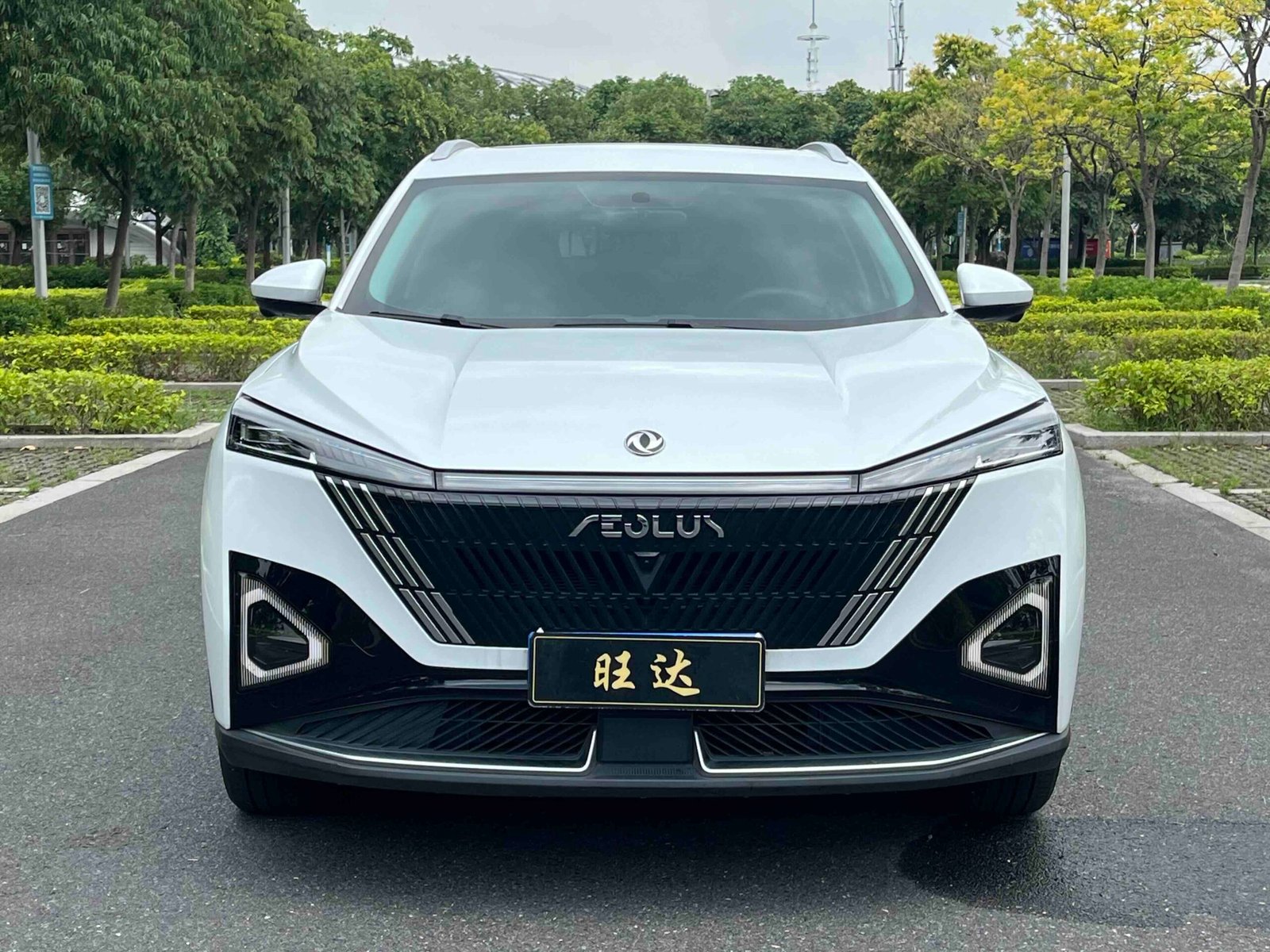 -Dongfeng Fengshen Haohan 2024 Model Glory Edition DH-i 1.5T Luxury Edition