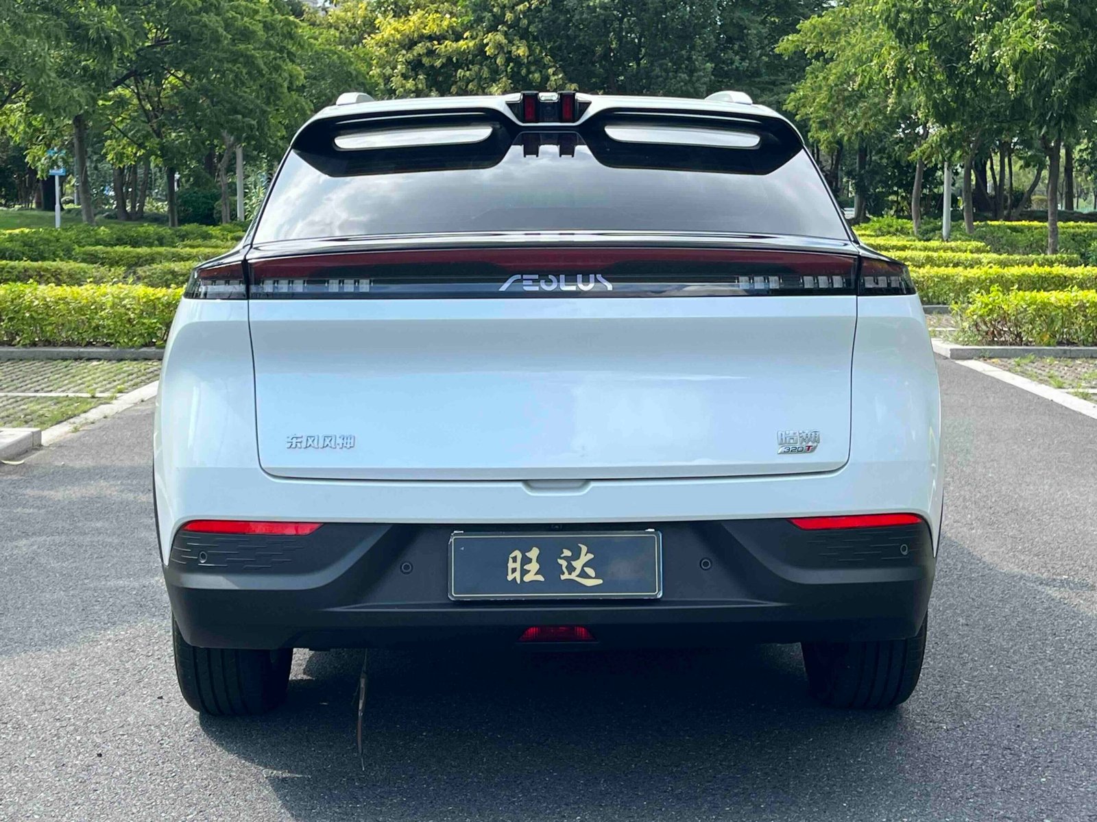 -Dongfeng Fengshen Haohan 2025 Model 1.5T Luxury Edition