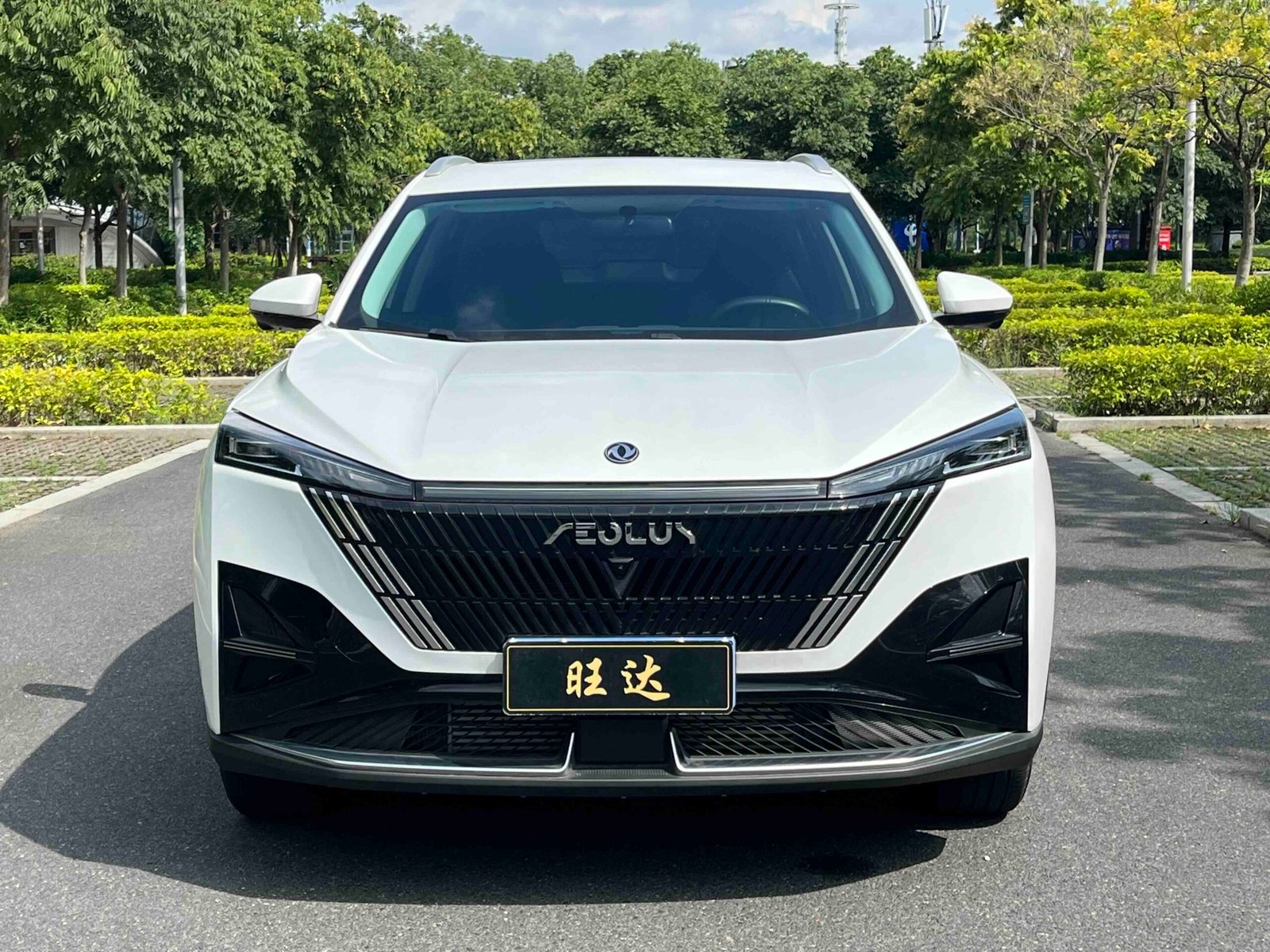 -Dongfeng Fengshen Haohan 2025 Model 1.5T Luxury Edition