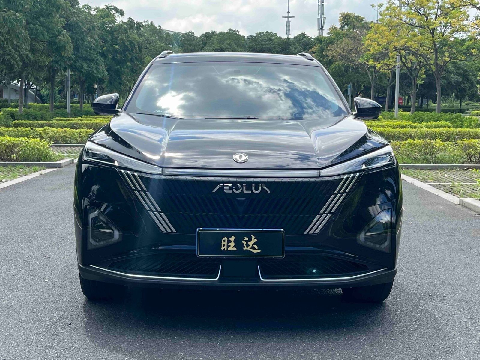 -Dongfeng Fengshen Haohan 2024 Model Glory Edition DH-i 1.5T Luxury Edition