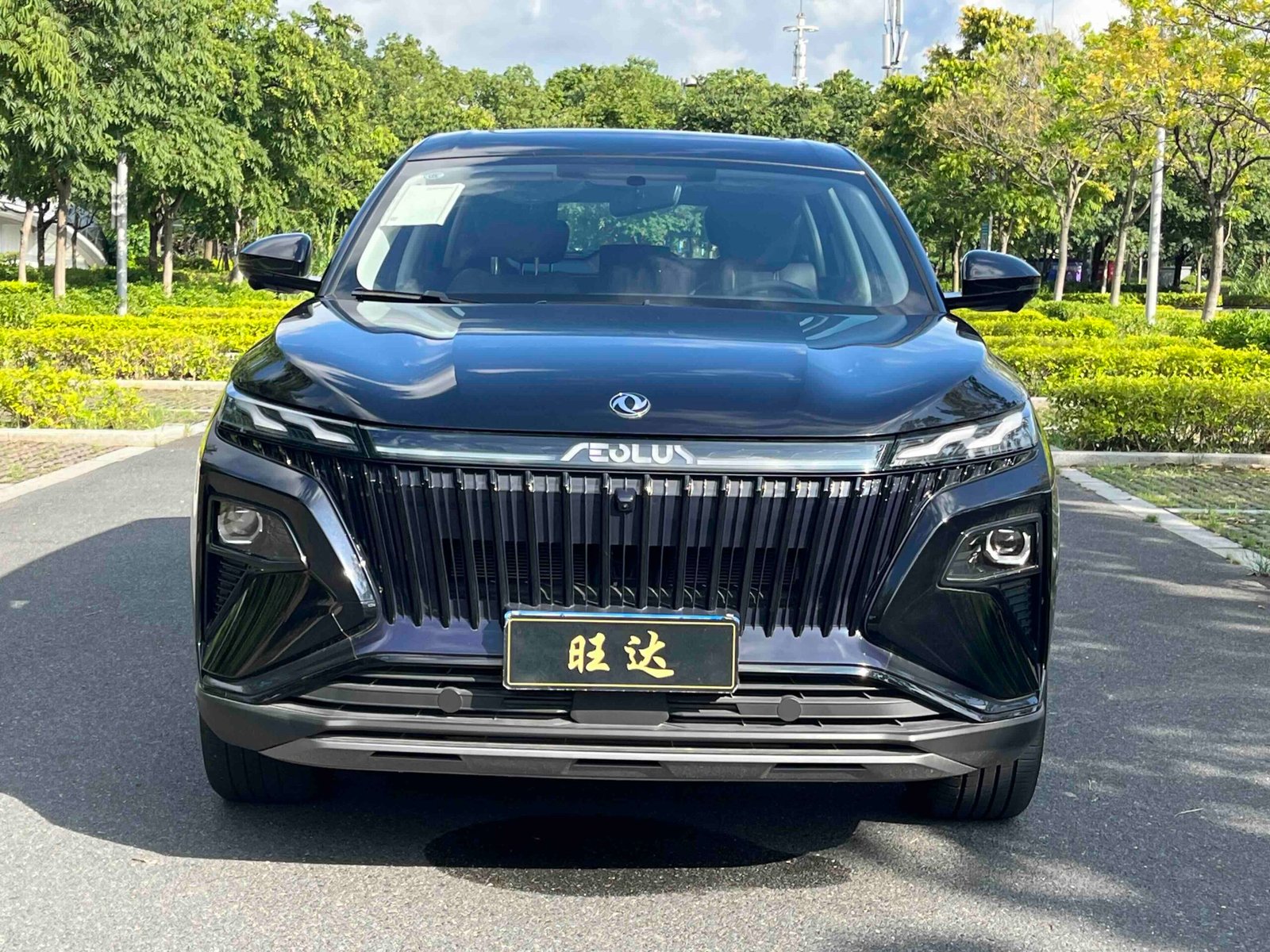 -Dongfeng Fengshen Haoji 2025 Model Mach Power 1.5T Luxury Edition