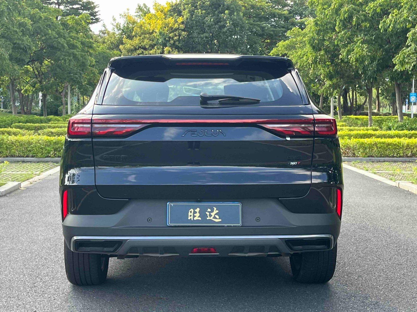 -Dongfeng Fengshen Haoji 2025 Model Mach Power 1.5T Luxury Edition